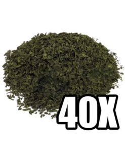 Buy Salvia Extract 40X